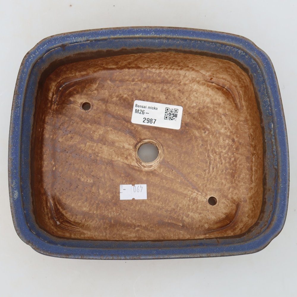Vaso in ceramica per bonsai 20 x 17,5 x 6 cm, colore blu
