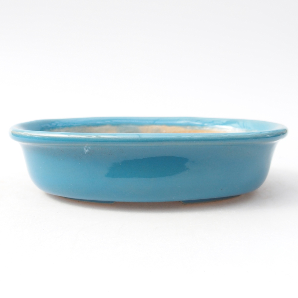 Ciotola bonsai in ceramica 14,5 x 10,5 x 3,5 cm, colore blu
