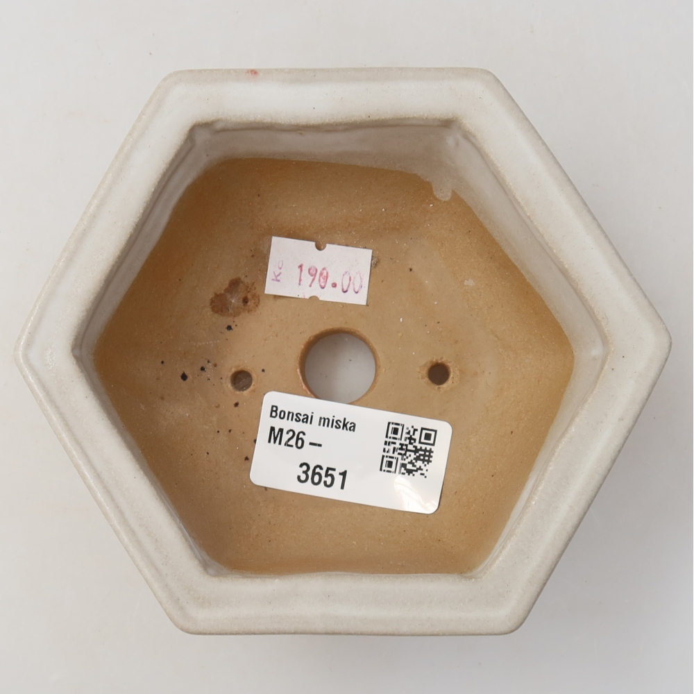Vaso da bonsai in ceramica 12 x 10,5 x 4,5 cm, colore bianco