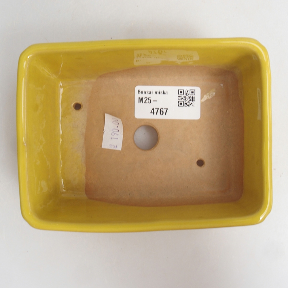 Ciotola bonsai in ceramica 13 x 10 x 5 cm, giallo