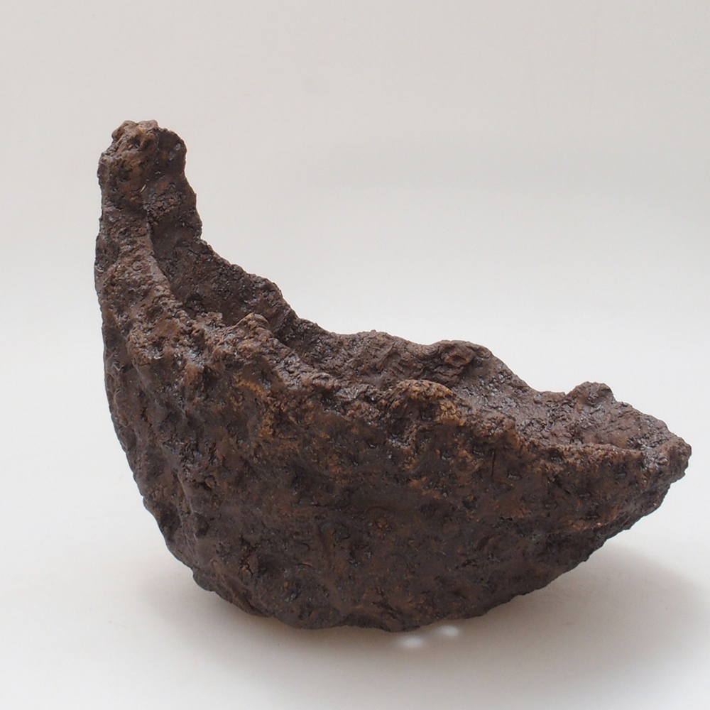 Conchiglia in ceramica 18 x 17 x 17,5 cm , colore marrone