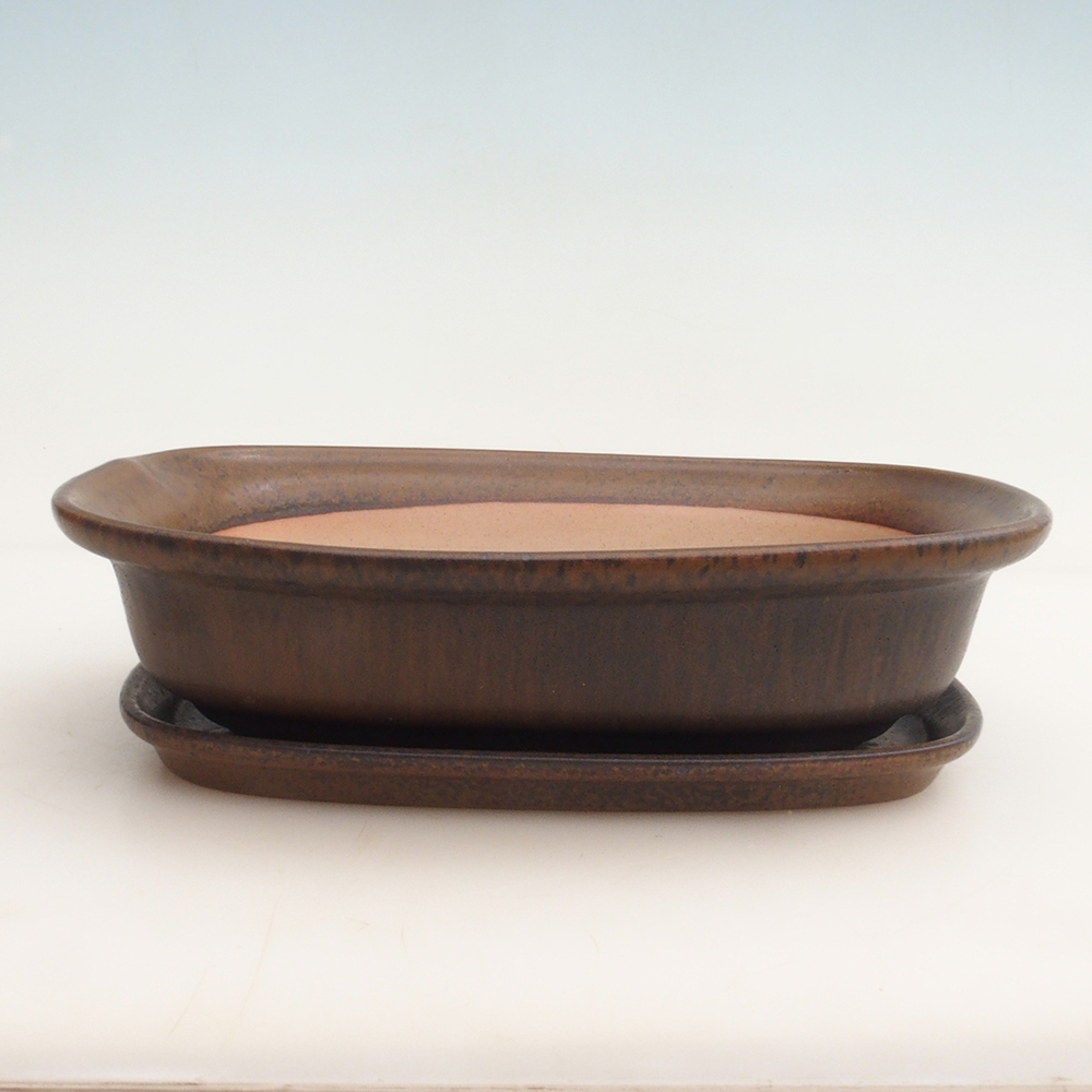 Ciotola bonsai + piattino H25 - 23 x 17 x 5,5 cm - marrone