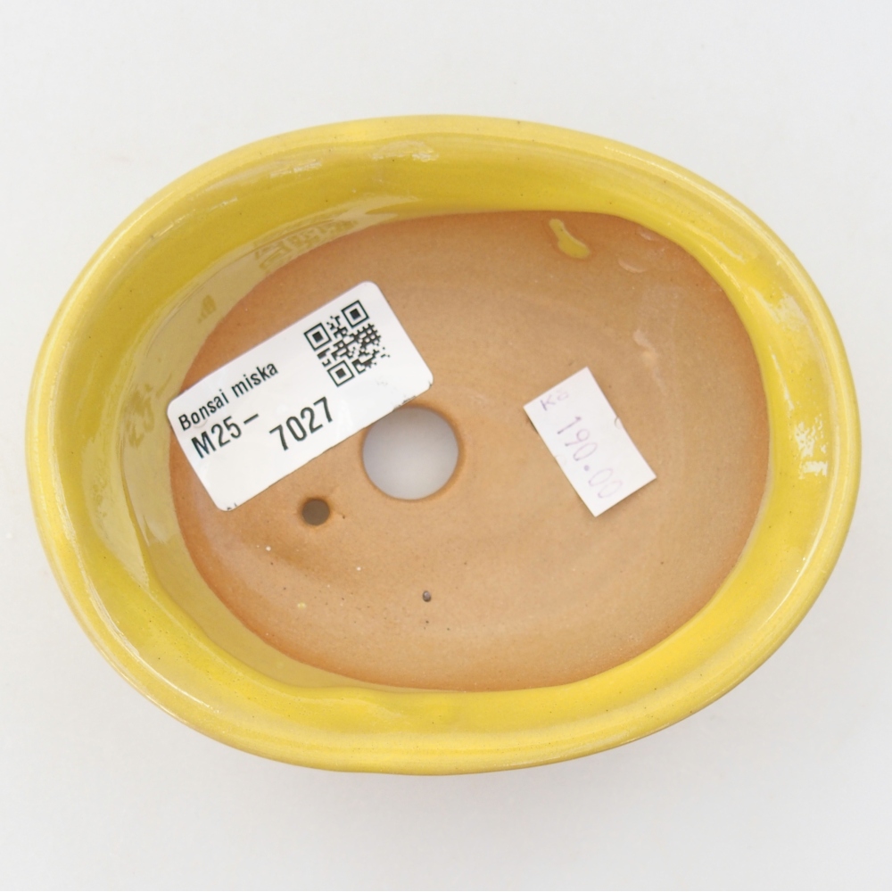 Ciotola bonsai in ceramica 26 x 26 x 8 cm, colore rosso