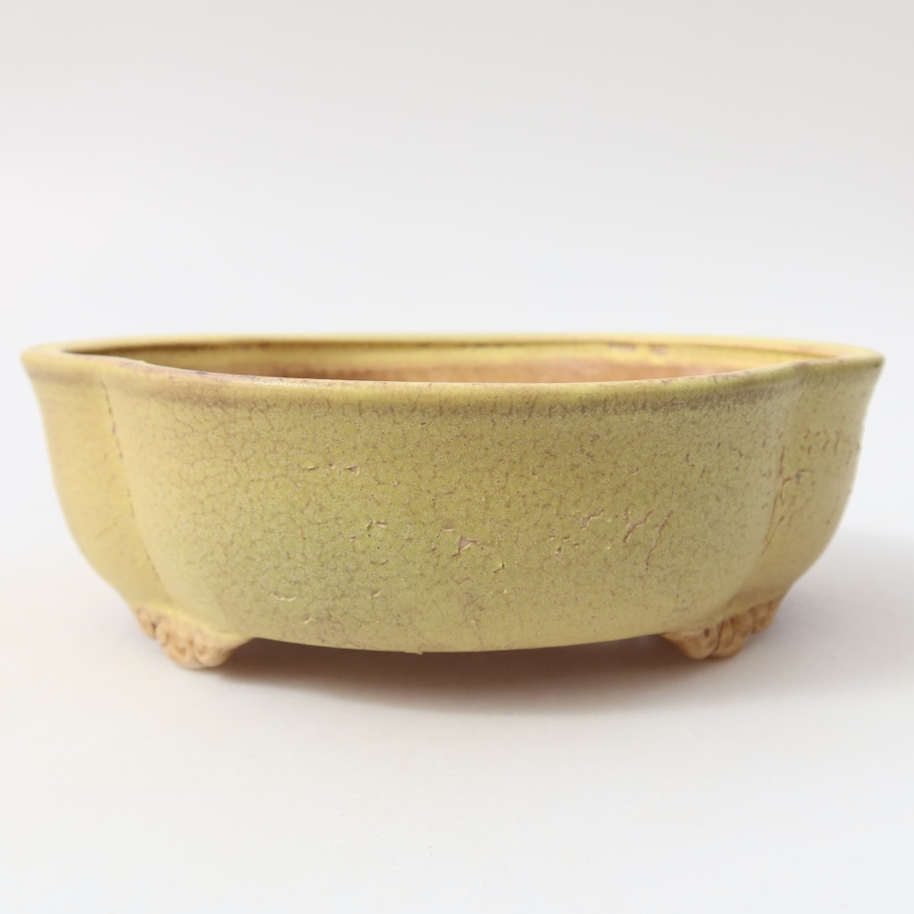 Vaso da bonsai in ceramica 17,5 x 15,5 x 5,5 cm, colore giallo