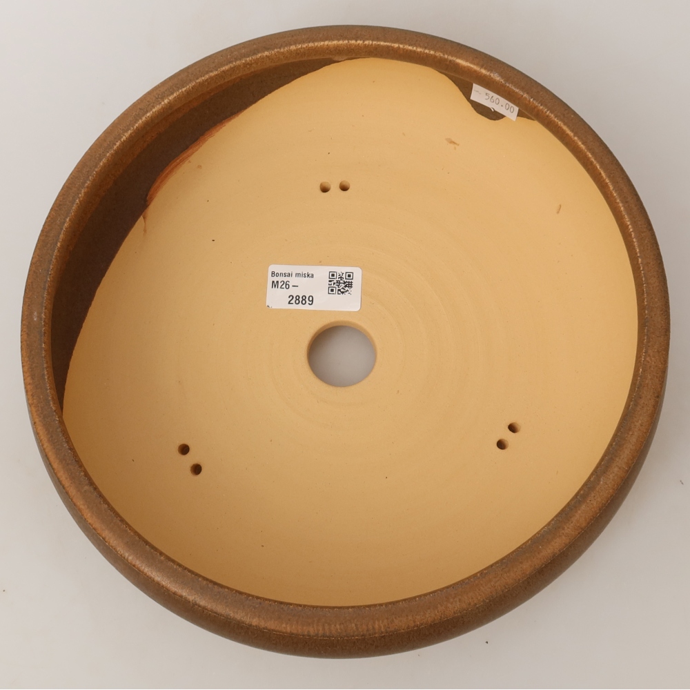 Vaso da bonsai in ceramica 24 x 24 x 7,5 cm, colore marrone