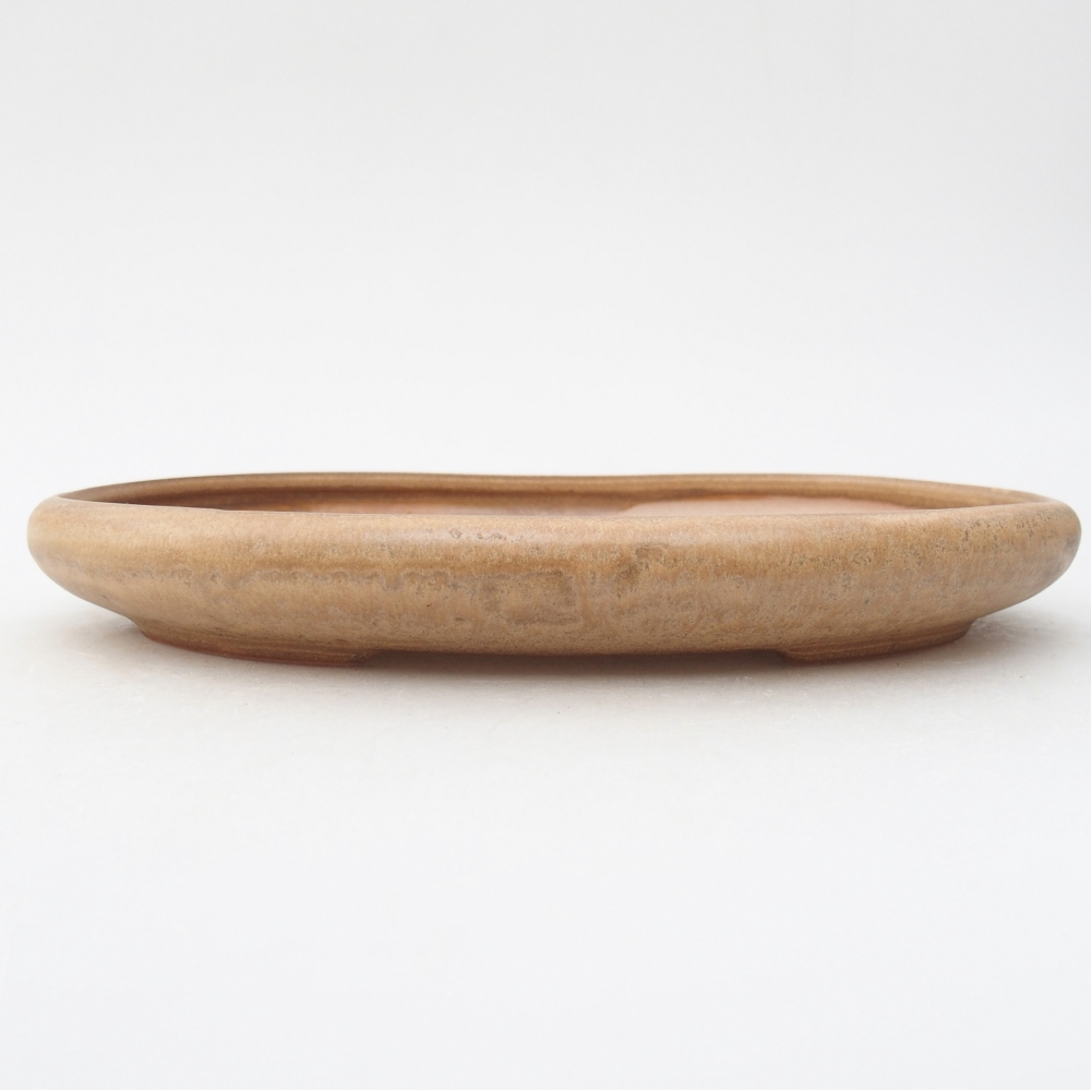 Ciotola per bonsai in ceramica 22,5 x 16,5 x 3 cm, colore beige