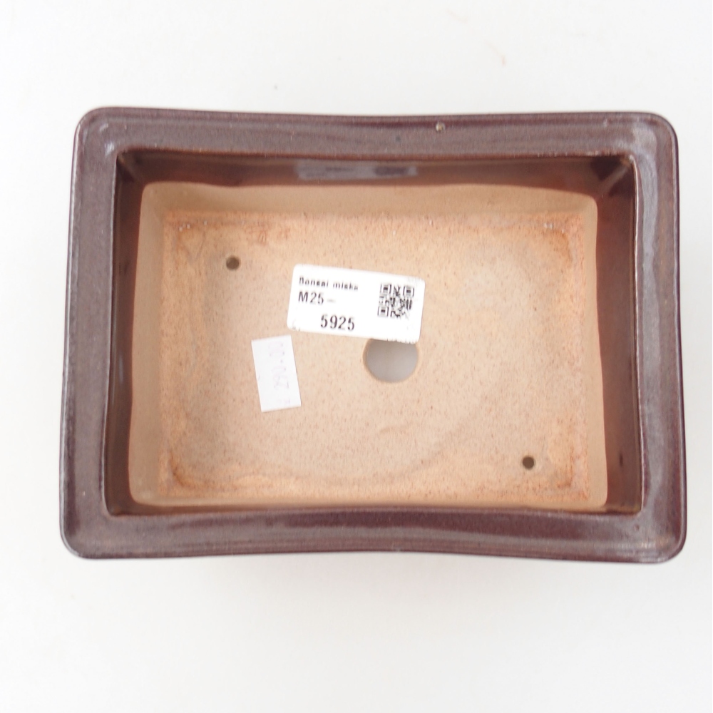 Ciotola bonsai in ceramica 22 x 17 x 5 cm, verde