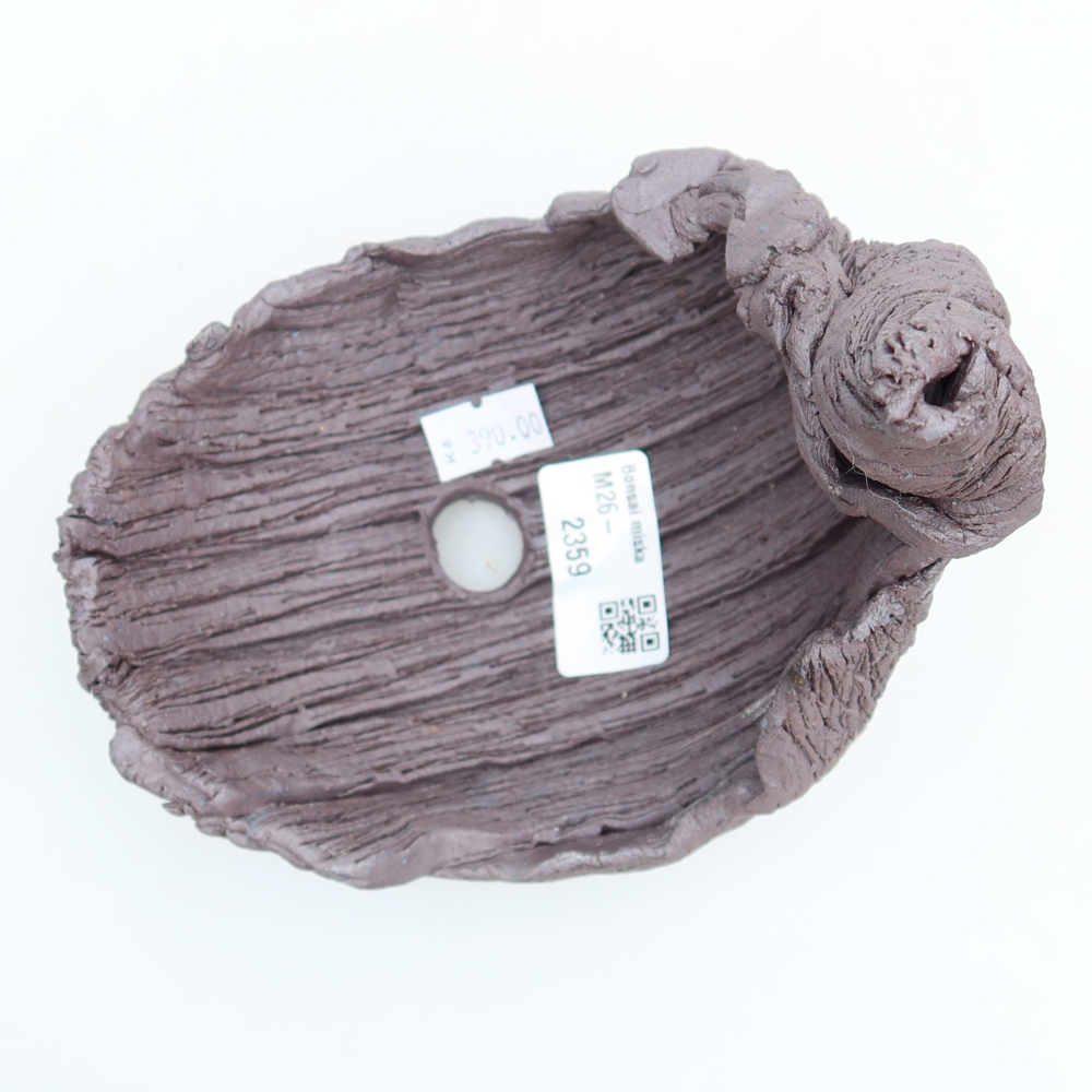 Guscio in ceramica  13,5 x 11 x 15 cm, colore marrone