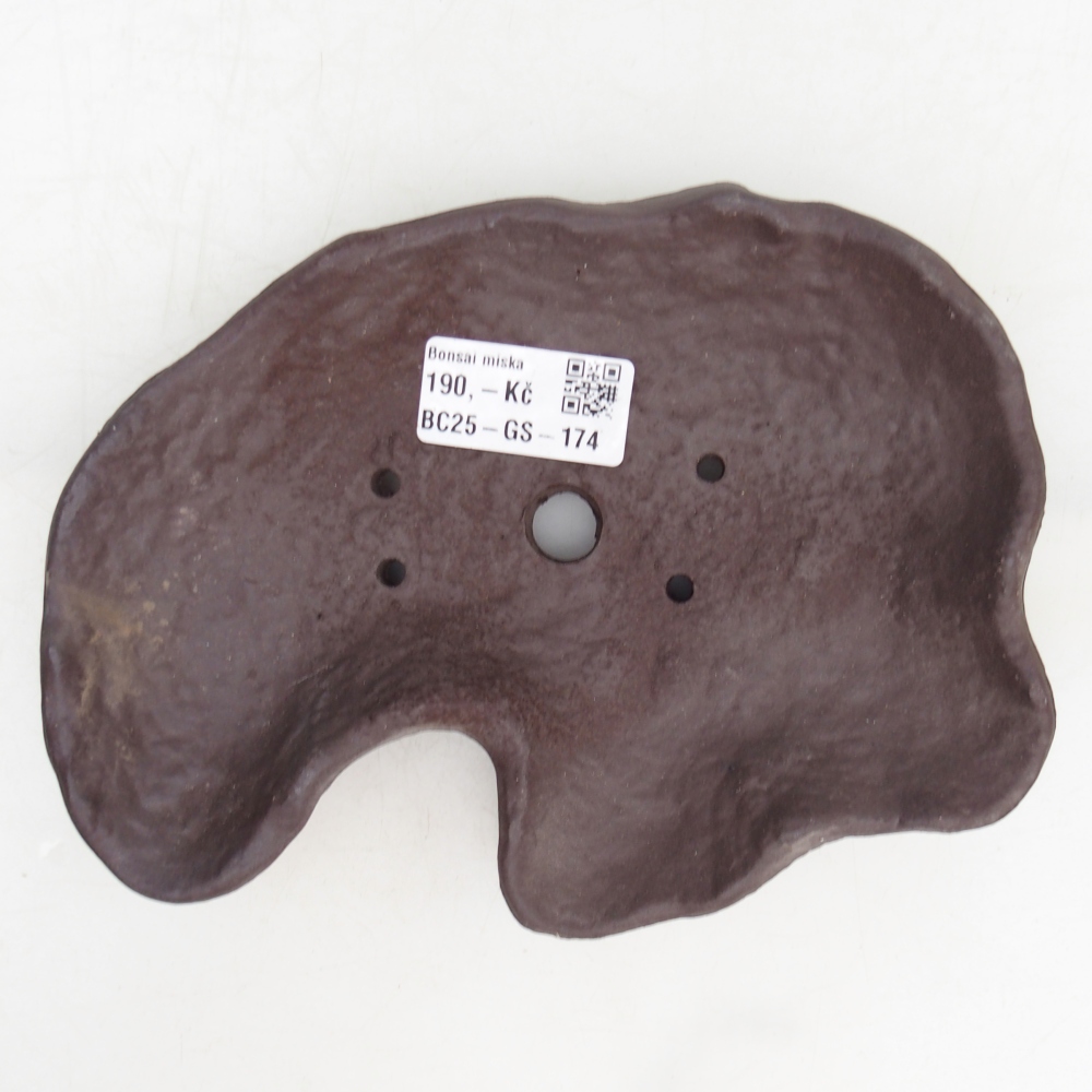 Conchiglia in ceramica 19 x 13,5 x 3,5 cm , colore marrone