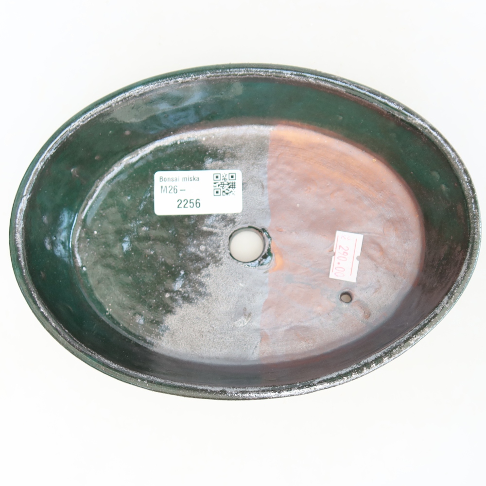 Vaso da bonsai in ceramica 18,5 x 13,5 x 4,5 cm, colore verde