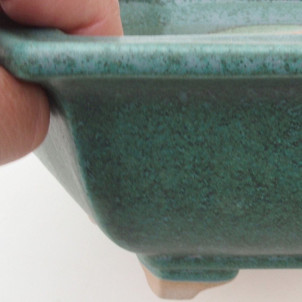 Ciotola bonsai H53 - 19 x 21,5 x 7 cm - verde