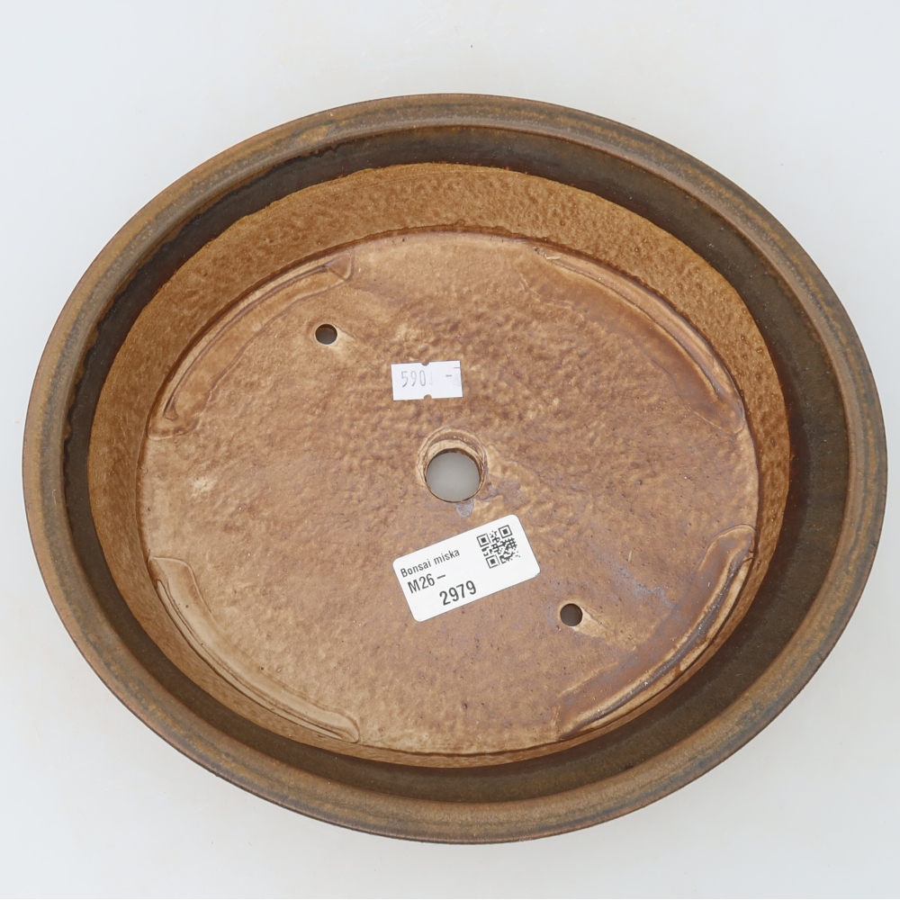 Vaso da bonsai in ceramica 24 x 21,5 x 5,5 cm, colore marrone