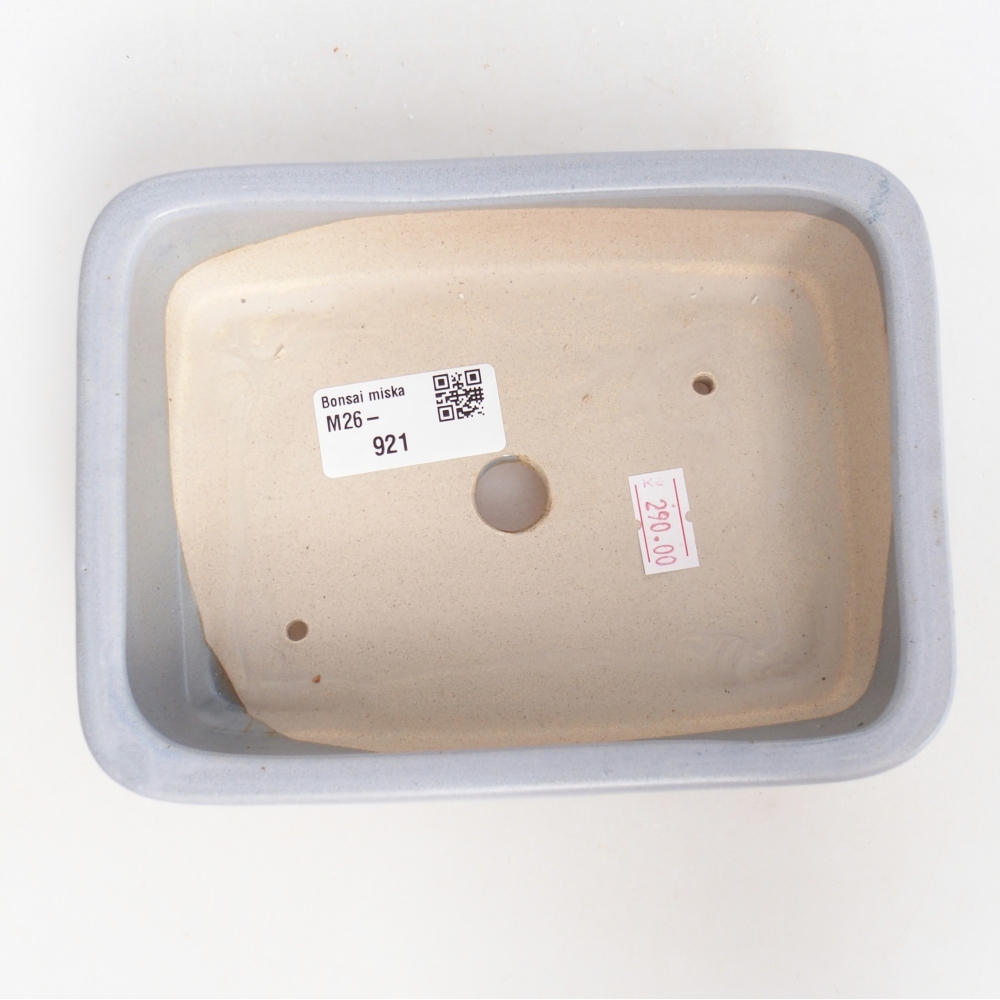 Ciotola bonsai in ceramica 16,5 x 12 x 5,5 cm, colore blu