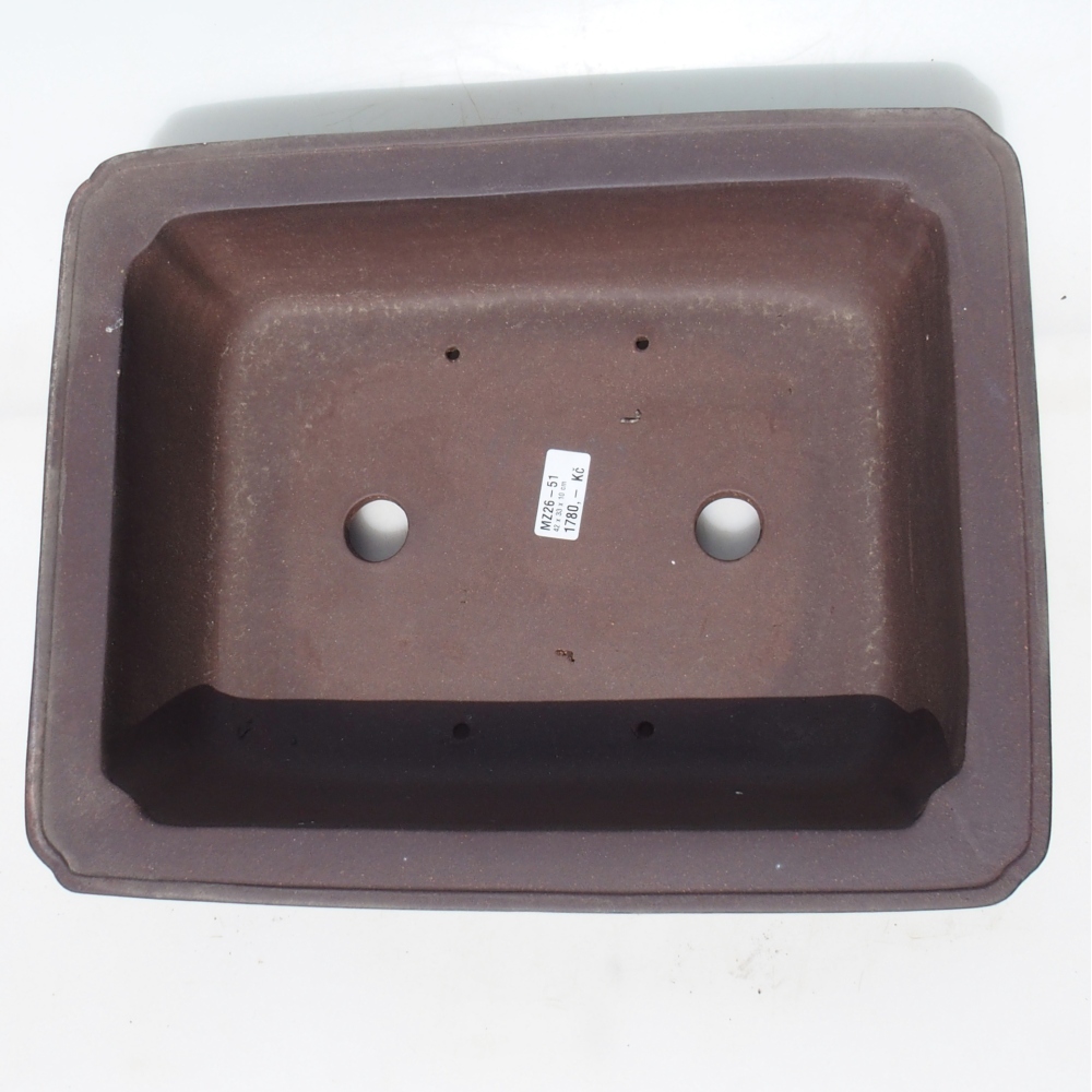 Ciotola per bonsai 42 x 33 x 10 cm - marrone