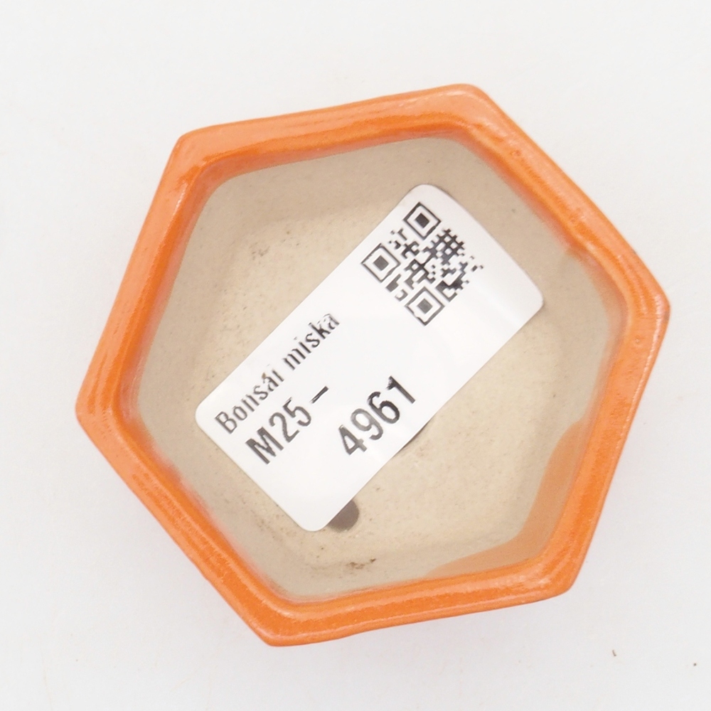 Ciotola per mini bonsai 6 x 5 x 2,5 cm, arancione