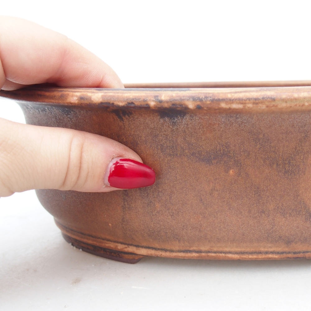 Ciotola bonsai in ceramica 23 x 19 x 7 cm, rosa