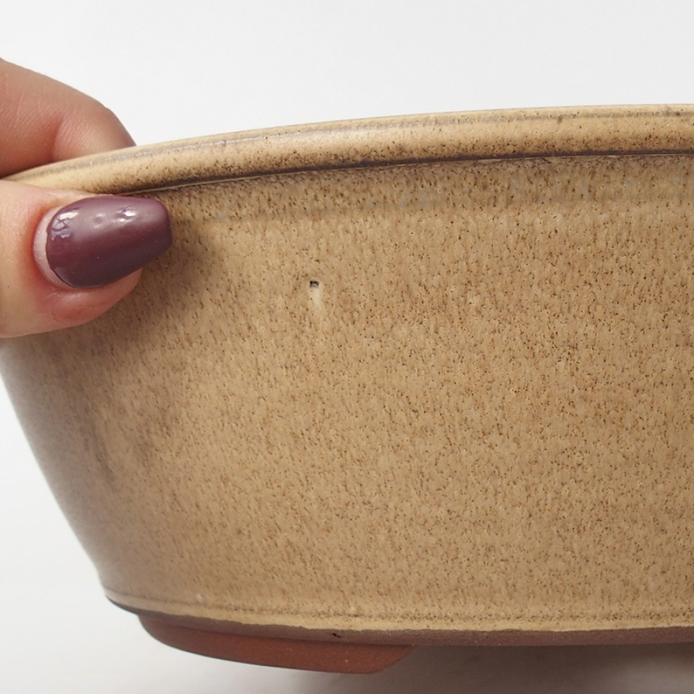 Ciotola bonsai in ceramica 19 x 19 x 7 cm, colore beige