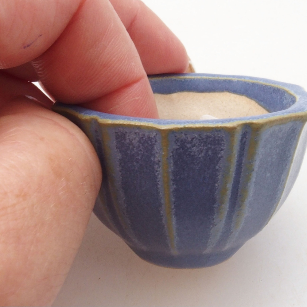 Ciotola per mini bonsai 5 x 5 x 3 cm, blu