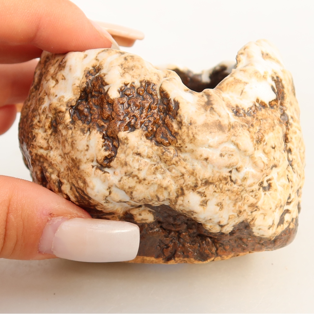 Guscio in ceramica  7 x 7 x 6 cm, colore bianco-marrone