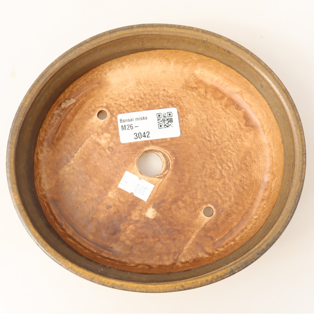 Ciotola per bonsai in ceramica 17,5 x 16 x 4,5 cm, marrone