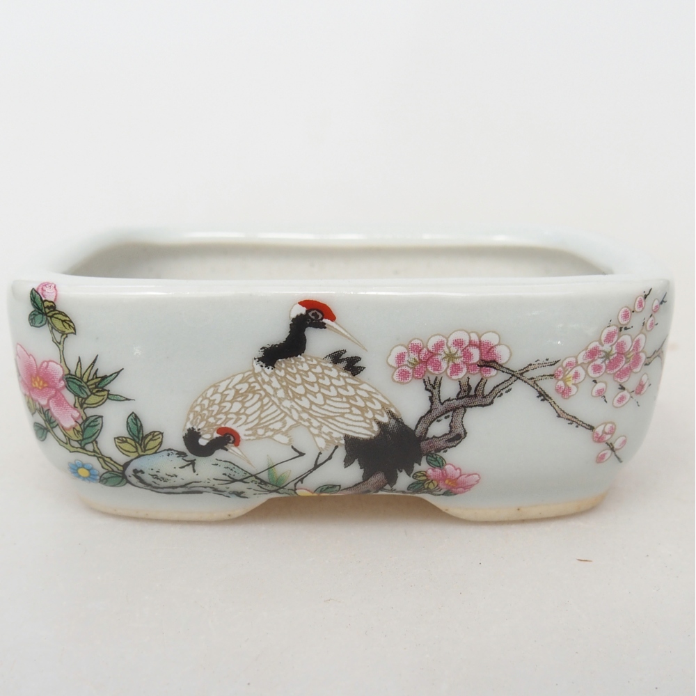 Mini bonsai 8 x 6 x 3 cm, bianco