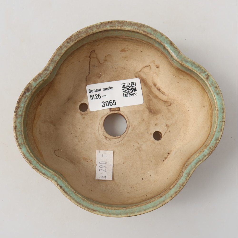 Vaso da bonsai in ceramica 13,5 x 12,5 x 5 cm, colore verde