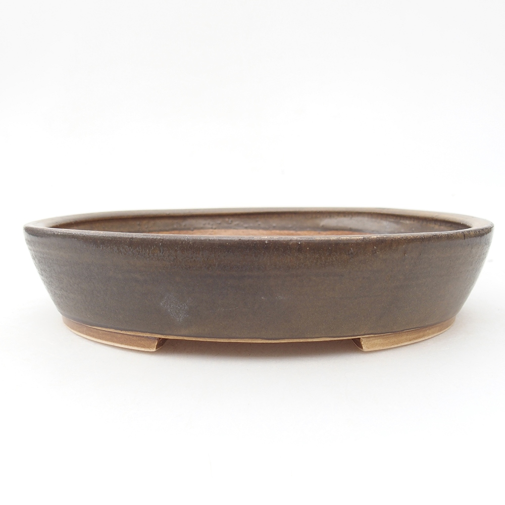 Ciotola per bonsai in ceramica 20,5 x 18,5 x 4 cm, marrone