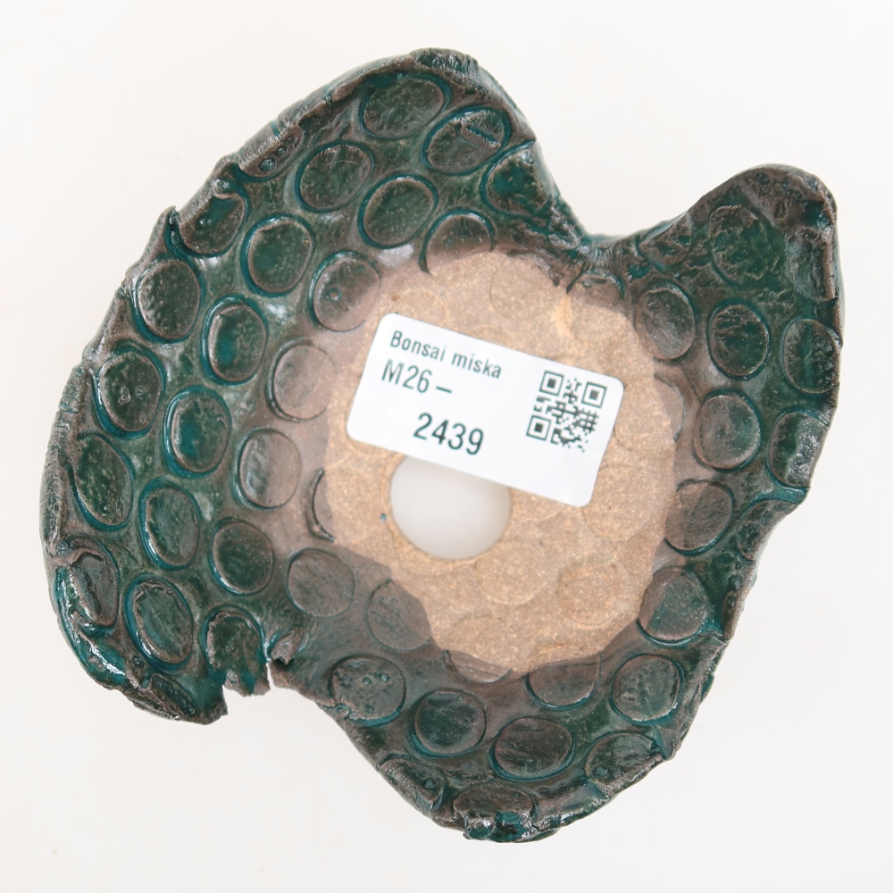 Guscio in ceramica  10 x 9 x 6 cm, colore verde