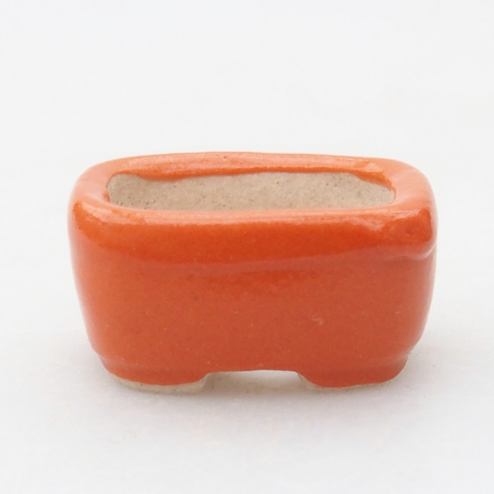 Mini bonsai 2,5 x 2,5 x 1 cm, arancione