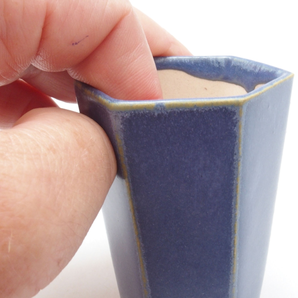 Mini bonsai 4,5 x 4,5 x 6,5 cm, colore blu