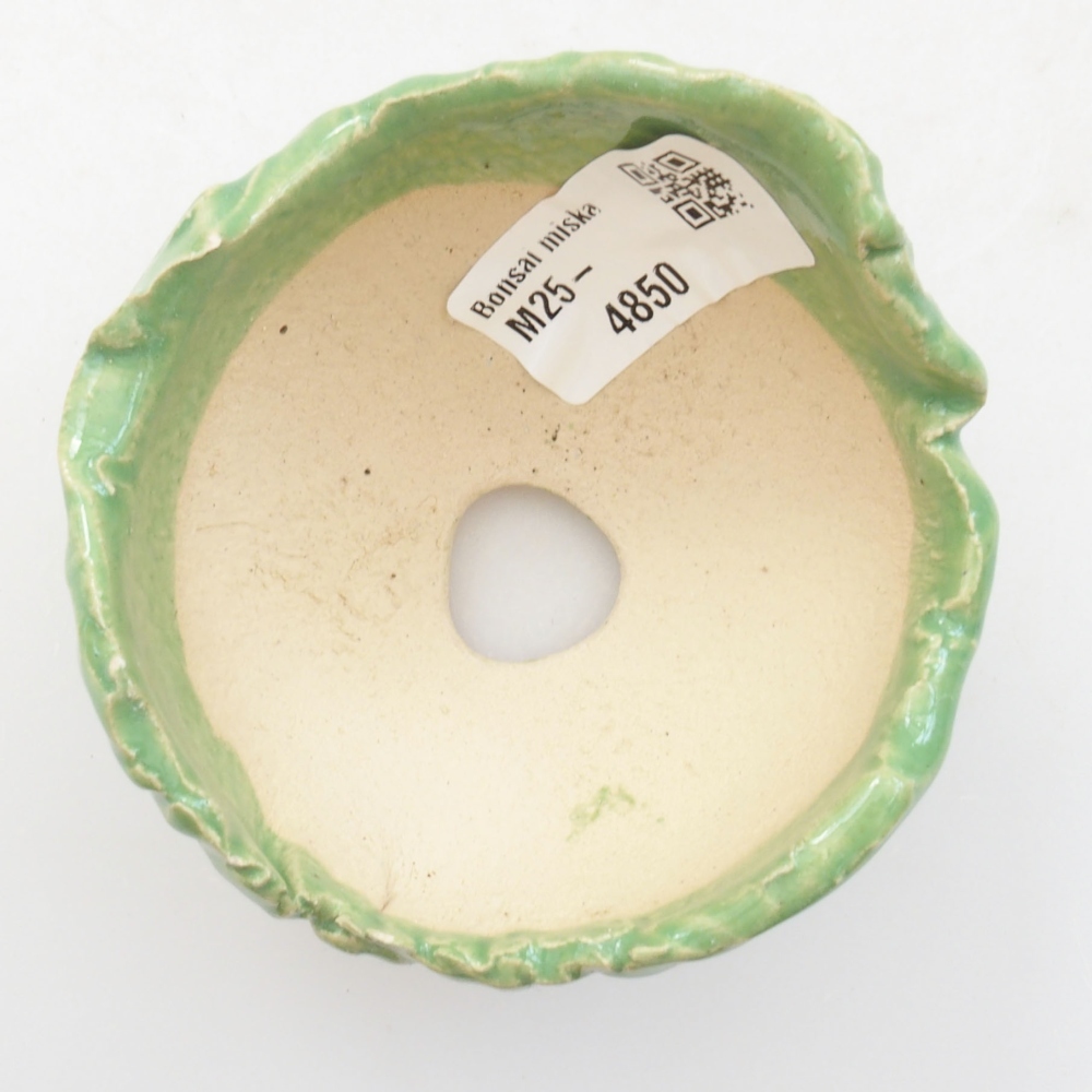 Conchiglia in ceramica 7 x 7 x 5,5 cm , colore verde