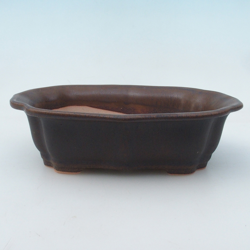 Ciotola per bonsai H51 - 18 x 14 x 5 cm - marrone