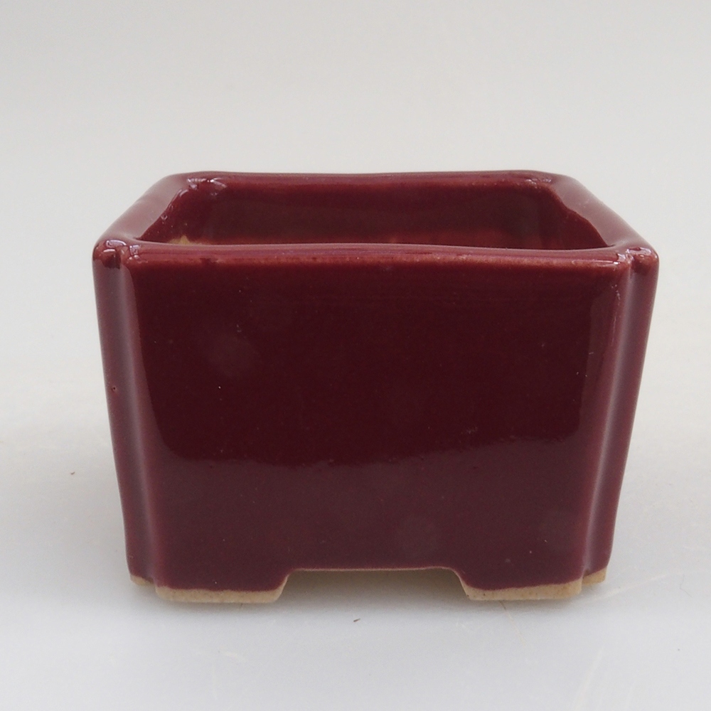 Mini bonsai 4,5 x 4,5 x 3 cm, bordeaux