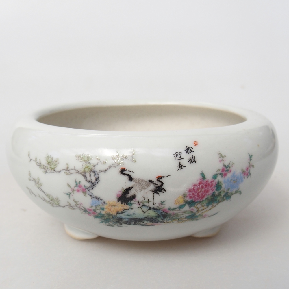 Ciotola per bonsai in ceramica 10 x 10 x 5 cm, colore bianco