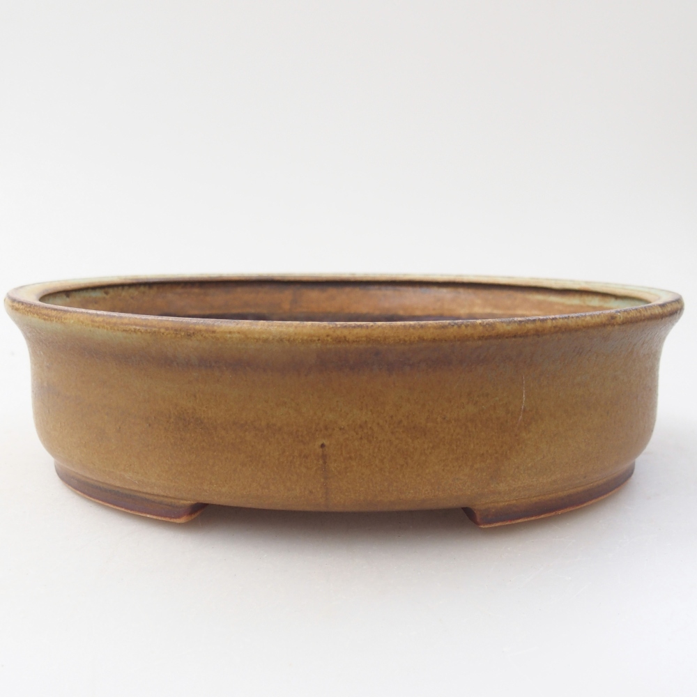 Ciotola per bonsai in ceramica 17,5 x 16 x 4,5 cm, verde