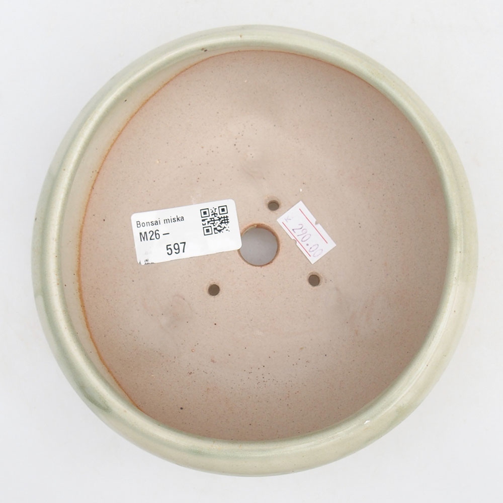 Ciotola bonsai in ceramica 14 x 14 x 6,5 cm, verde