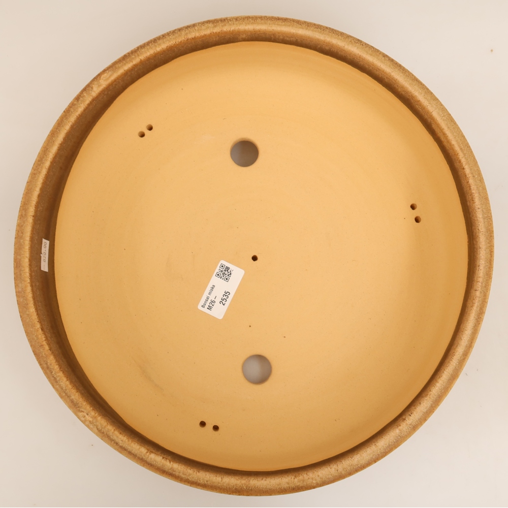 Vaso in ceramica per bonsai 31 x 31 x 8 cm, colore marrone