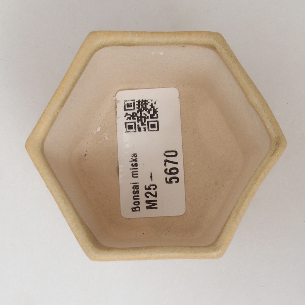 Ciotola per mini bonsai 7 x 5,5 x 4,5 cm, marrone