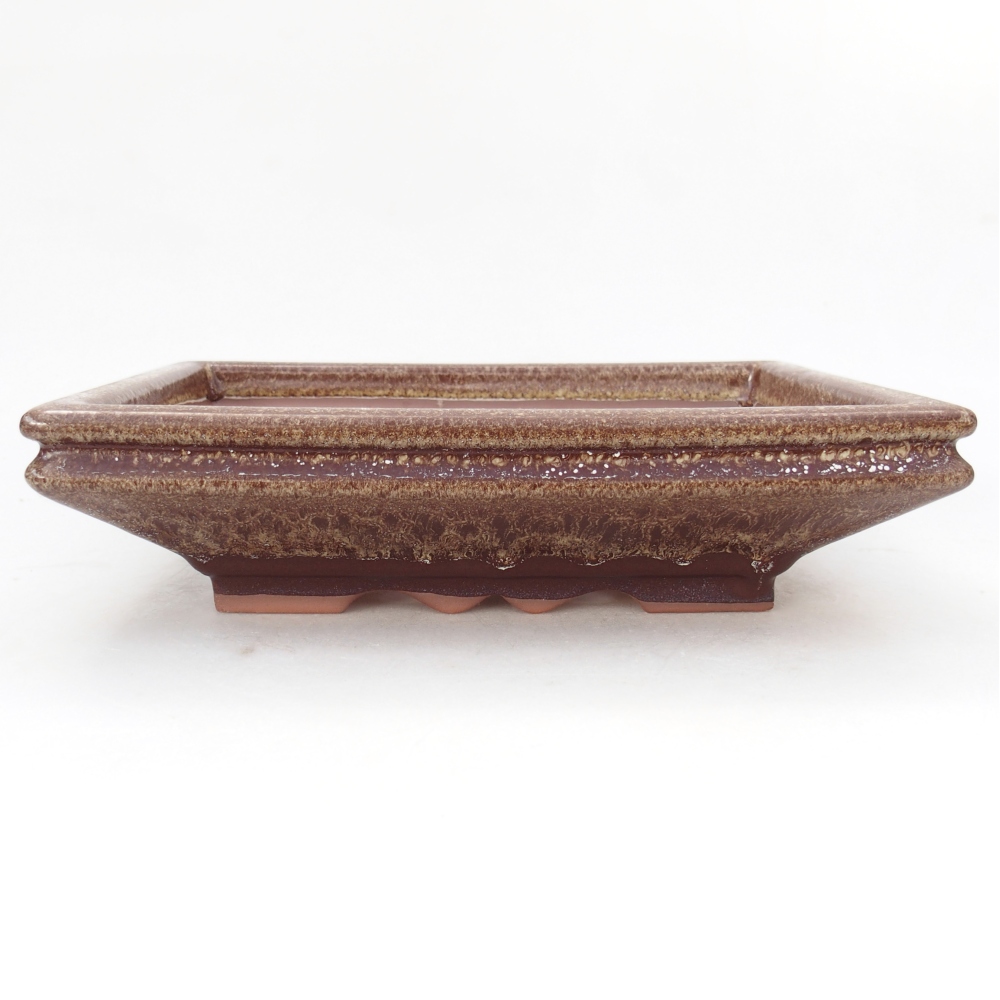 Ciotola 26 x 21 x 6,5 cm blu-verde