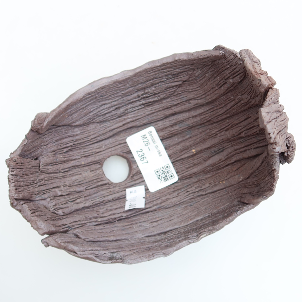 Guscio in ceramica  13,5 x 11 x 14 cm, colore marrone