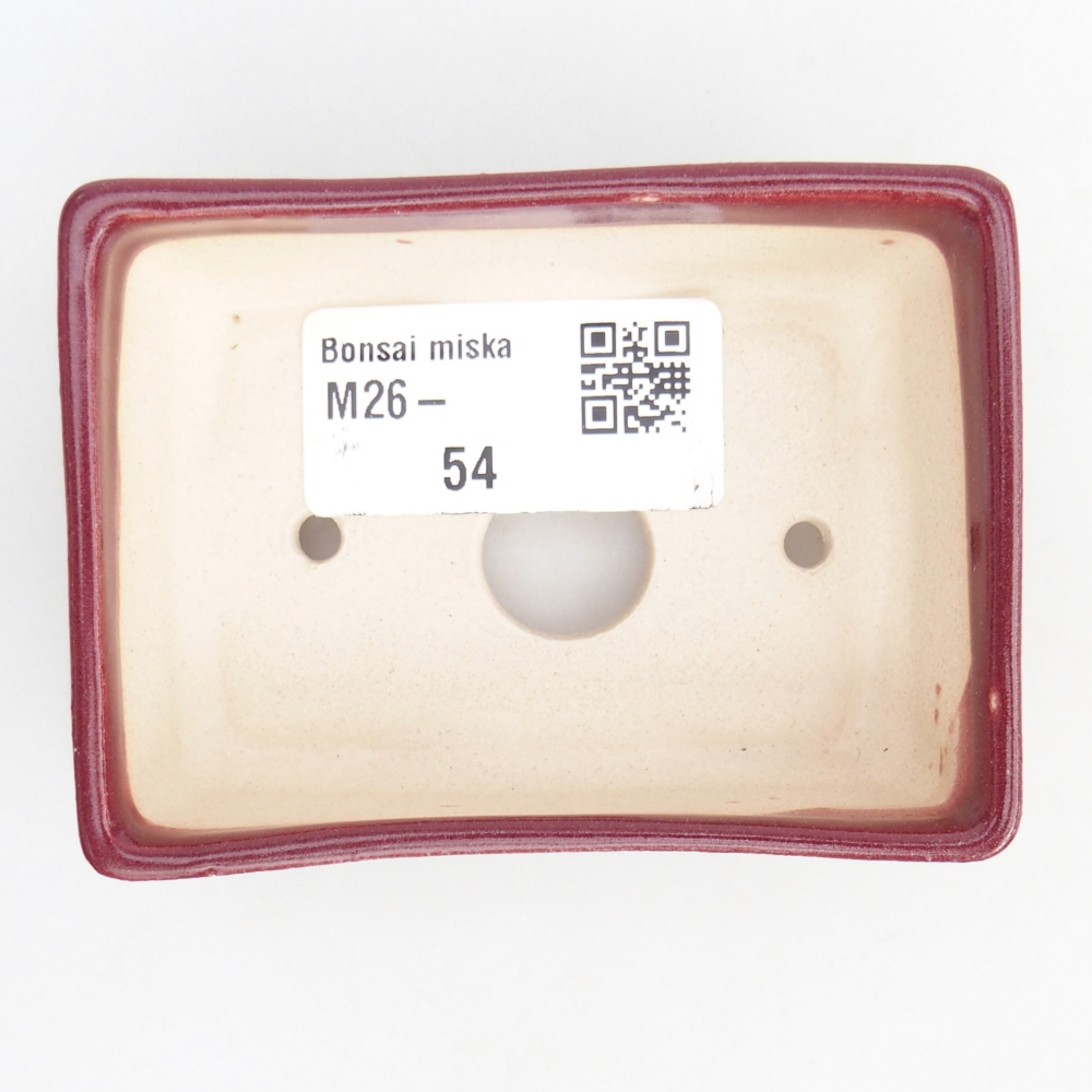 Mini bonsai 8 x 6 x 2,5 cm, bordeaux