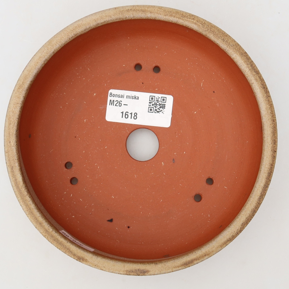 Ciotola per bonsai in ceramica 15 x 15 x 4,5 cm, marrone