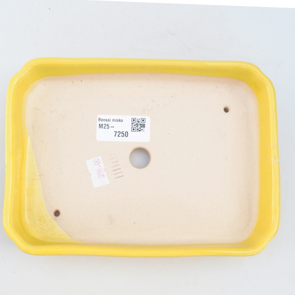 Ciotola bonsai in ceramica 26 x 26 x 8 cm, colore rosso