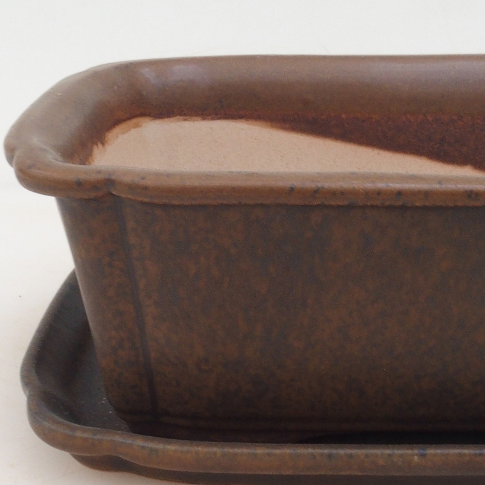 Ciotola bonsai + piattino H50 - marrone