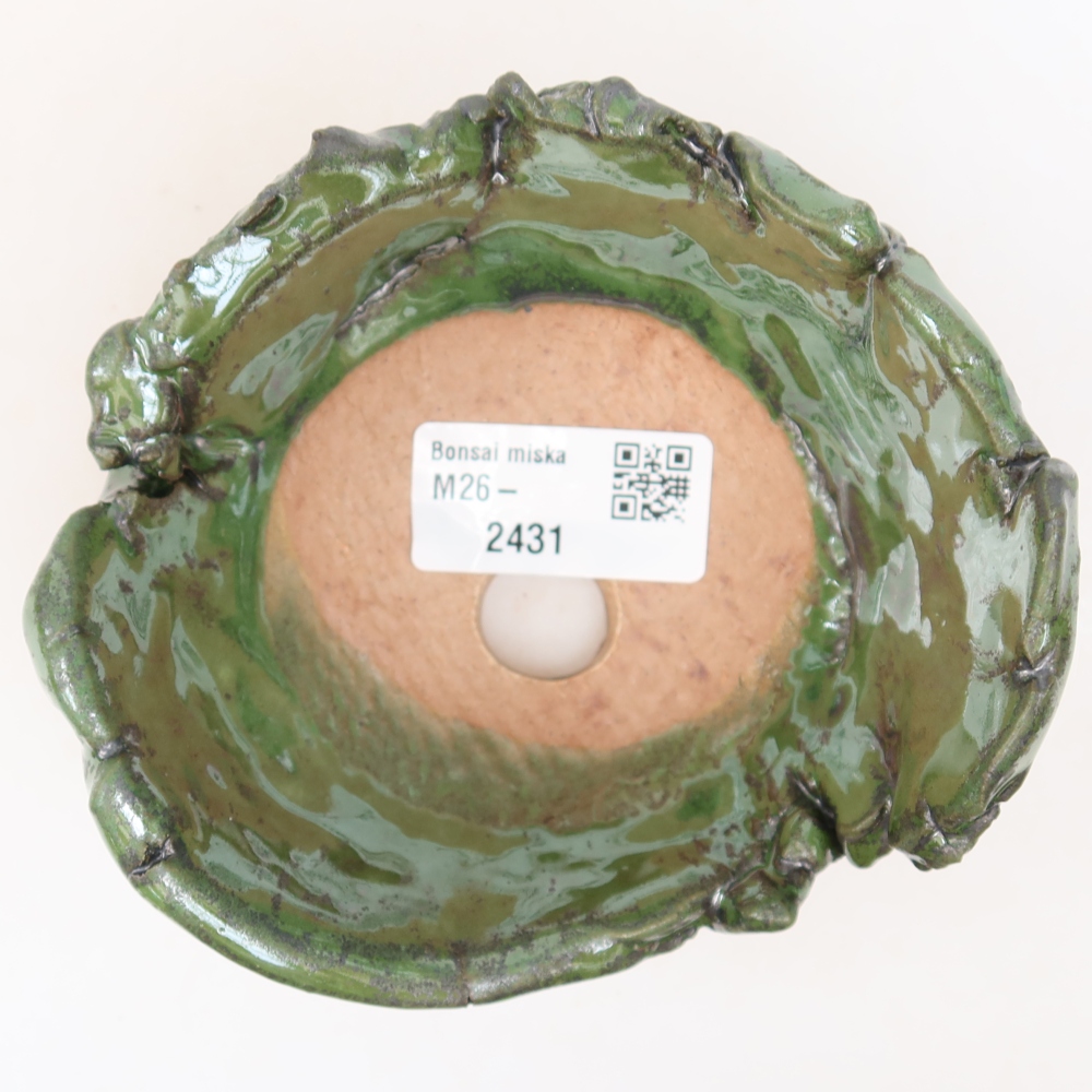 Guscio in ceramica  11,5 x 10,5 x 7 cm, colore verde