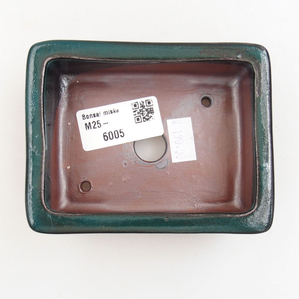 Ciotola bonsai in ceramica 22 x 17 x 5 cm, verde