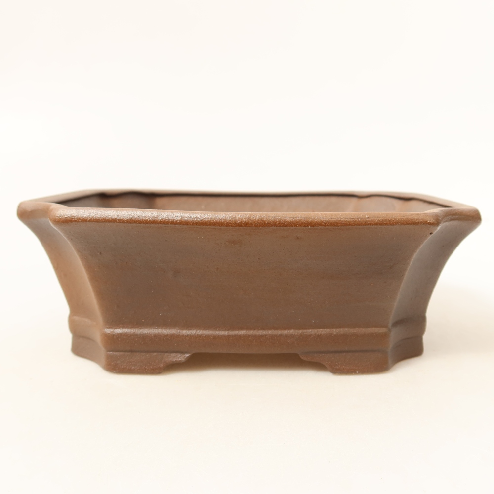 Ciotola per bonsai in ceramica 18 x 15 x 6 cm, marrone