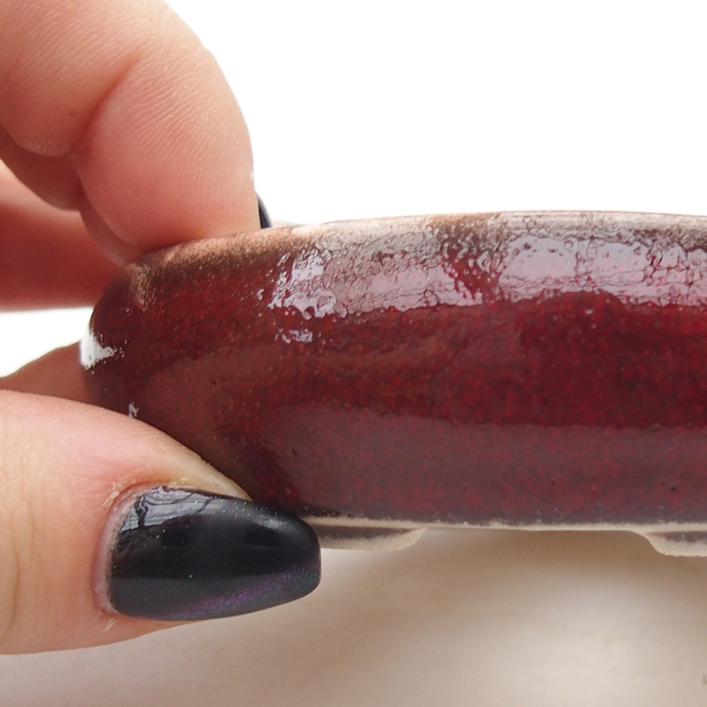 Mini bonsai 9 x 9 x 2,5 cm, colore rosso