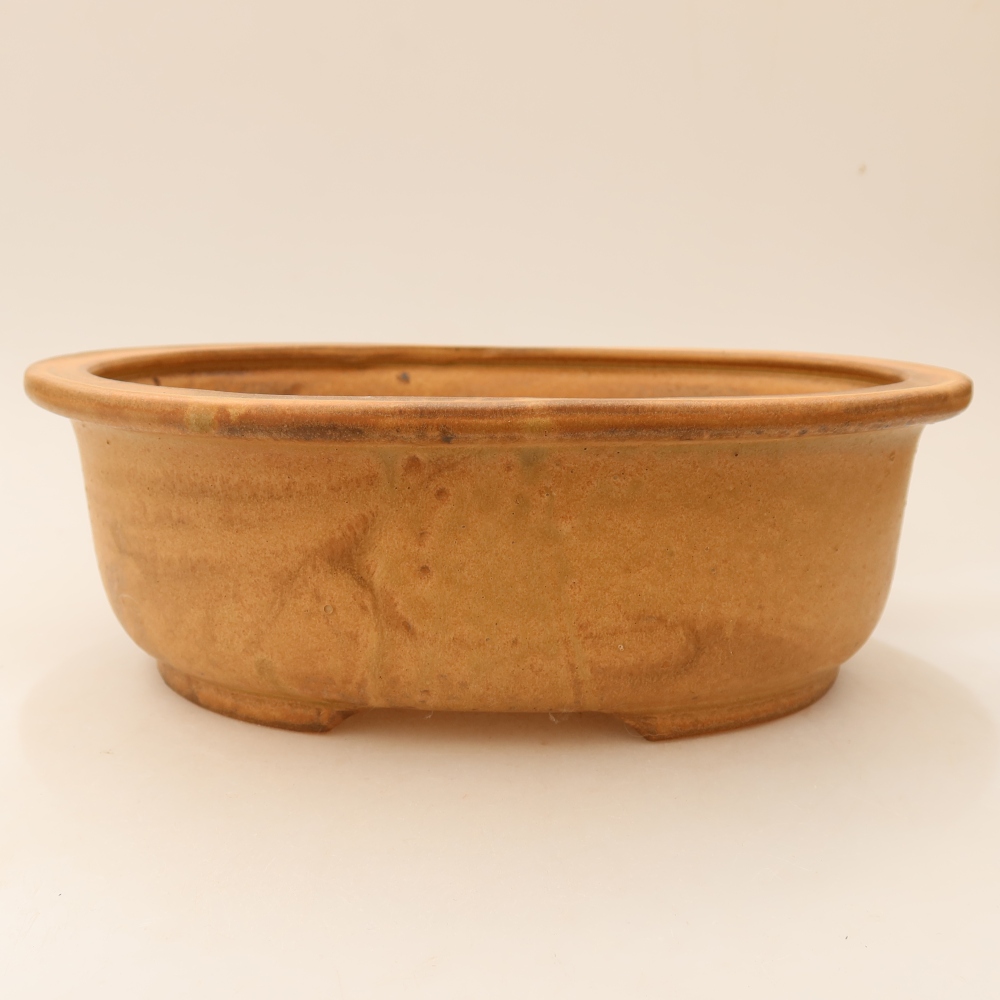 Vaso da bonsai in ceramica 23 x 19 x 8 cm, colore beige