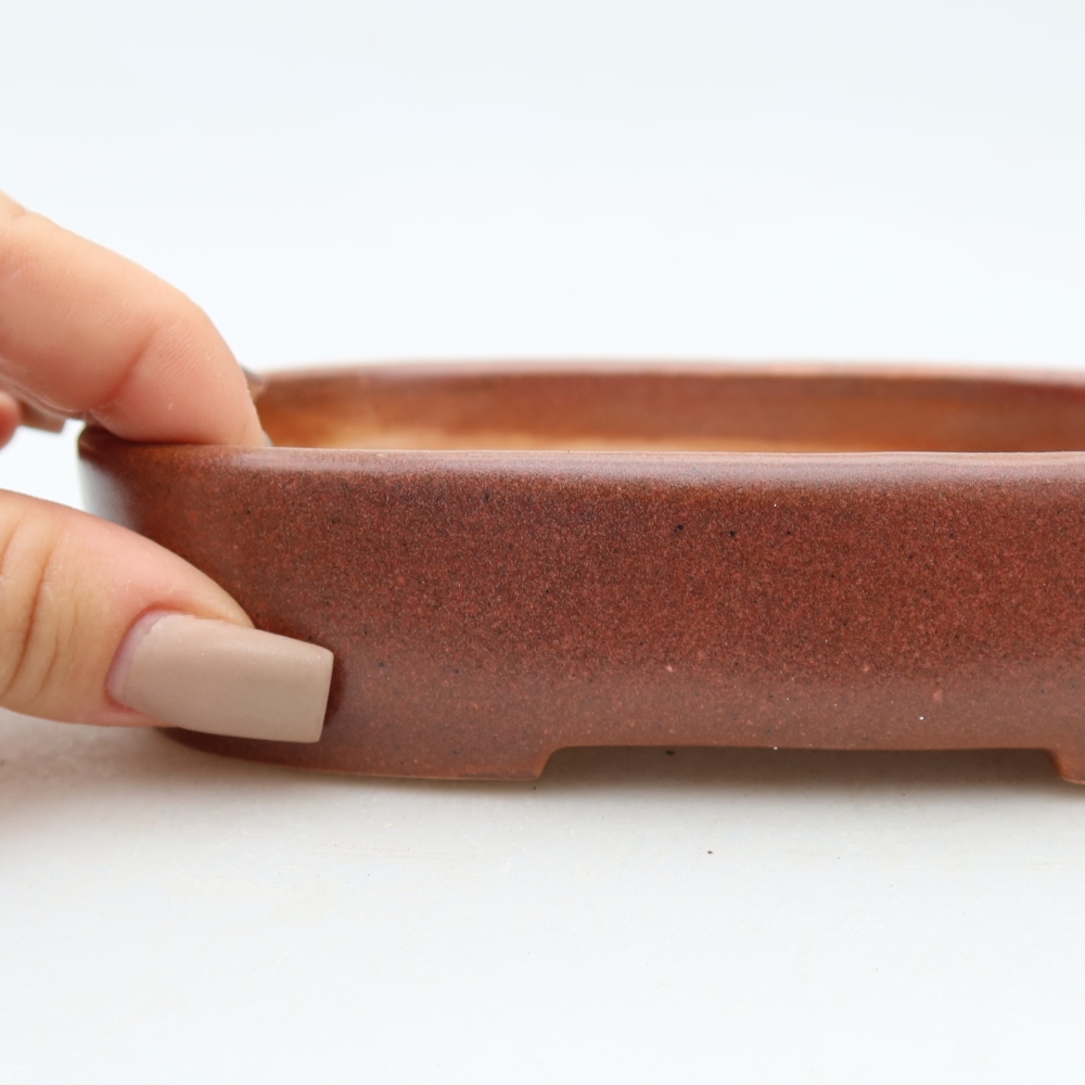 Vaso da bonsai in ceramica 16 x 11 x 3,5 cm, colore bordeaux